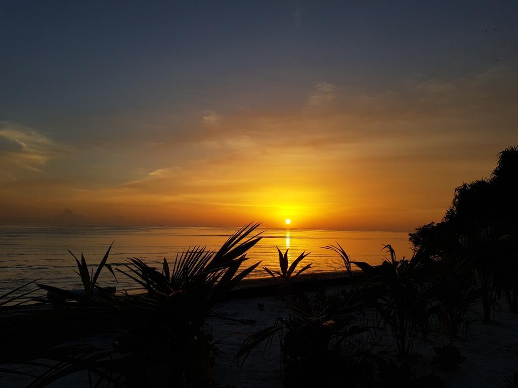 Island Guest Hotel Maamendhoo Kültér fotó